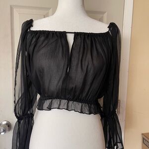 UO Lioness Sheer Black Top